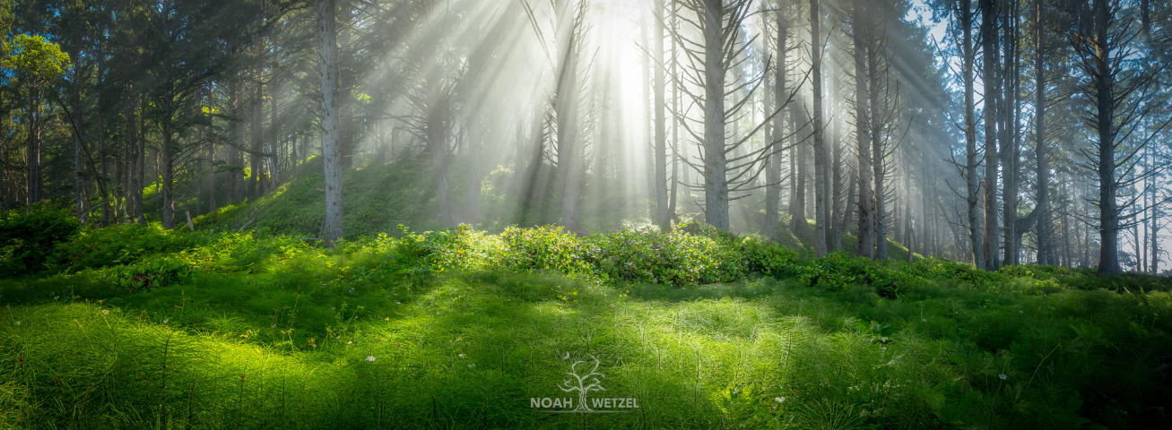 marie-christine-martin-psy.fr/soins-energetiques-paris16